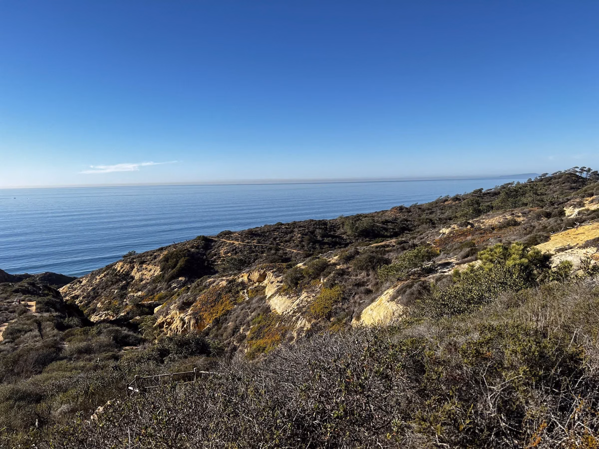 Coastal scrub and pale sandstone ledges on a hillside above the ocean